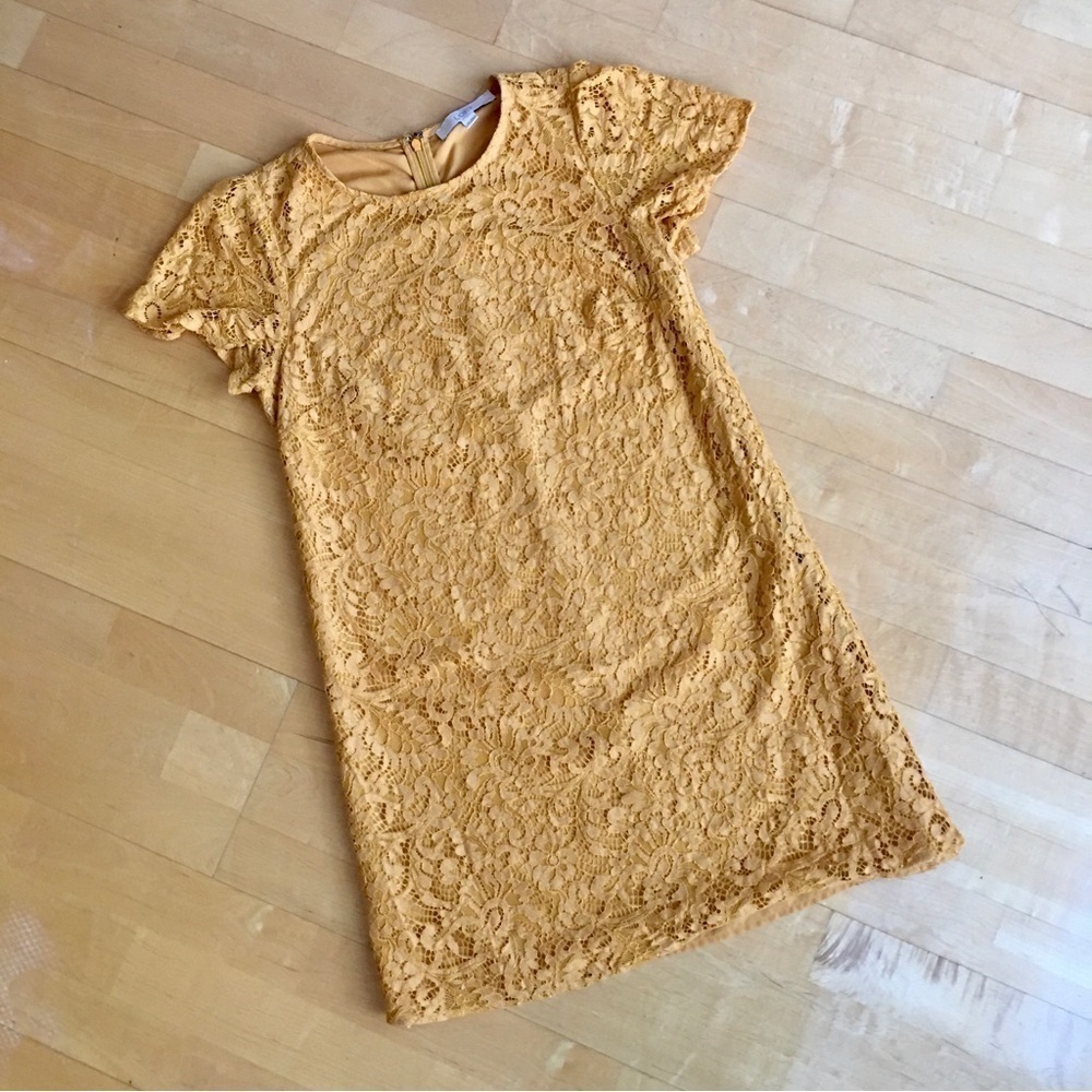 LOFT Lace Overlay Sheath Dress, Mustard Yellow, Gold, Size 4P